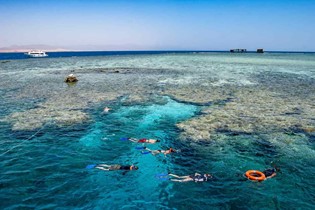 Liveaboard Diving Egypt: The Ultimate Way to Explore the Red Sea