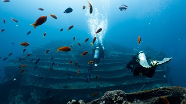 5 Top Diving Safari Egypt: Spots and Destinations