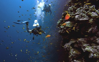 3 Best Snorkeling Trips in Hurghada (Full Program)